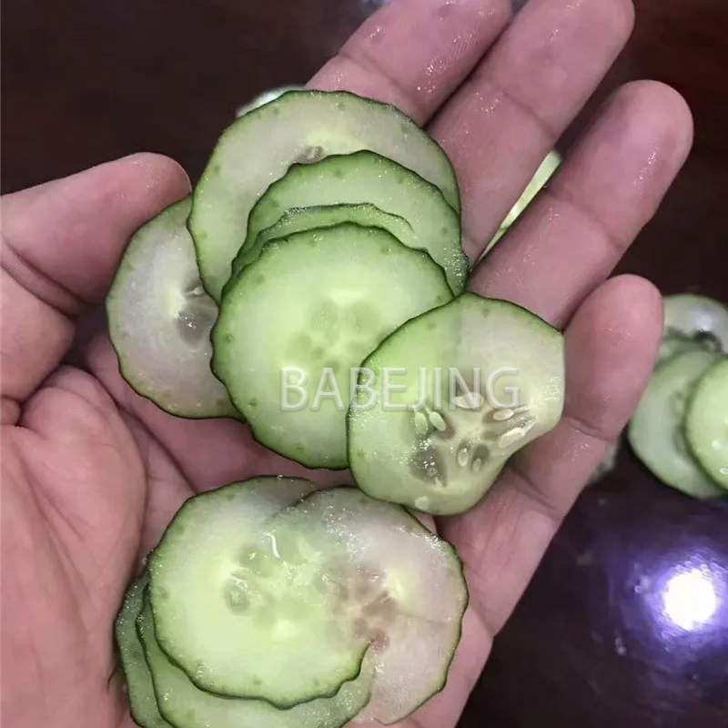 Electric Mini Scallion Chopper - Kitchen Appliances Commercial บทวิจารณ์และราคา